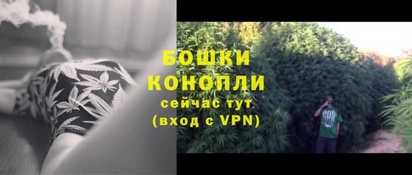бутират Дубна