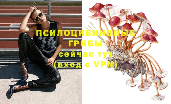мескалин Алексин