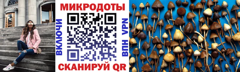 Галлюциногенные грибы мухоморы  Невьянск 
