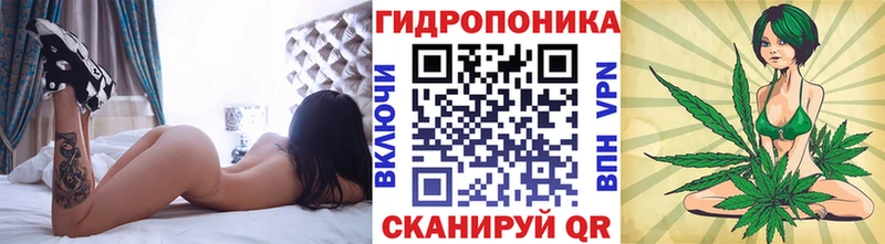 Бошки марихуана сатива  Невьянск 